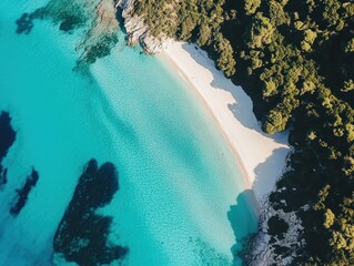 Aerial view of a pristine white sand beach with crystal clear turquoise water and green trees