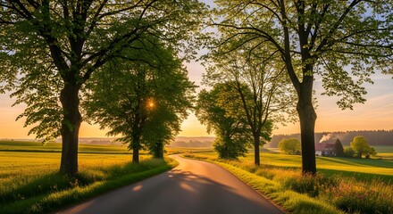 Naklejka premium Serene Countryside Road at Golden Hour, Lush Green Fields, and Distant Farmhouse Under Warm Sunlight