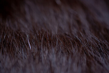 Abstract texture background of brown animal fur. Close up detail of mammal hair pattern showing soft and dark strands suitable for nature wallpapers. © bugrakaanersoy