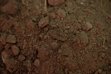 Texture and surface of soil mixed with manure background.