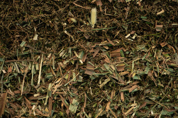 Compost from dry leaves background.