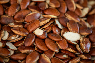 Irvingia malayana seeds on natural background.
