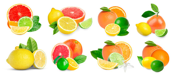 Set of various citrus fruits isolated on white