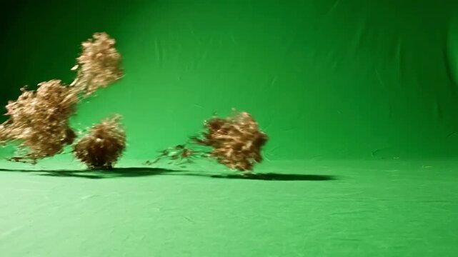 Arid Wilderness Atmosphere with tumbleweeds passing on a dessert 4k chroma key green screen matte and shadows distortion, overlay, glitch, static noise, scan lines black background, animated video