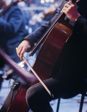 Concert view of contrabass violoncello player with vocalist and musical band during string concert, jazz orchestra performing music, violoncellist cello jazz player on stage in club, music arena hall