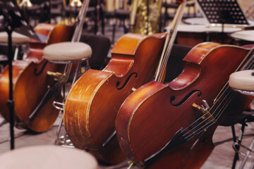 Concert view of contrabass violoncello player with vocalist and musical band during string concert,...