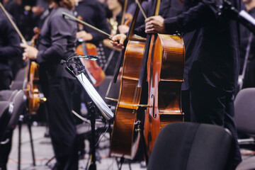 Concert view of contrabass violoncello player with vocalist and musical band during string concert,...