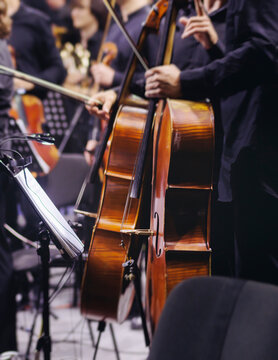 Concert view of contrabass violoncello player with vocalist and musical band during string concert, jazz orchestra performing music, violoncellist cello jazz player on stage in club, music arena hall