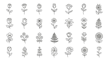 Elegant botanical line art illustration featuring a diverse selection of flowers and leaves set