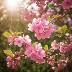 Blossoms in the Morning Light. 2