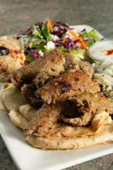 A closeup view of a gyros plate.