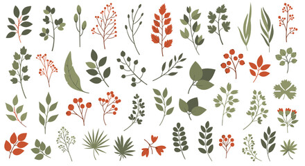 Obraz premium Large collection of hand-drawn botanical elements, including various leaves, branches, and berries in muted green and red autumn colors.