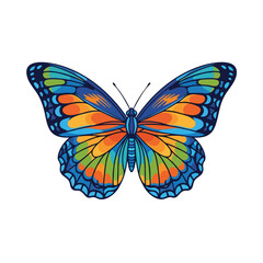 Obraz premium Vibrant Butterfly Illustration