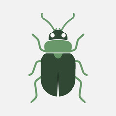 Simple Green Beetle Illustration