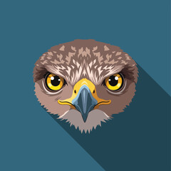 Illustration of a bird of prey with sharp gaze