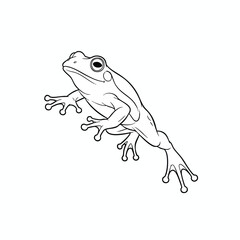 Black and White Frog Line Art