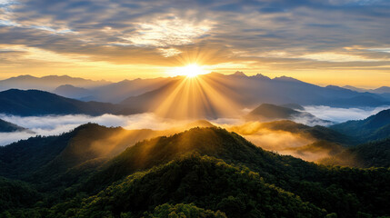 Golden sunrise mountain mist forest valley sunbeam glowing serene