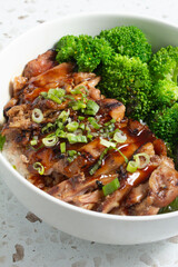 A closeup view of a chicken teriyaki bowl.
