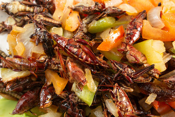 A top down view of an entree of chapulines, as a background.