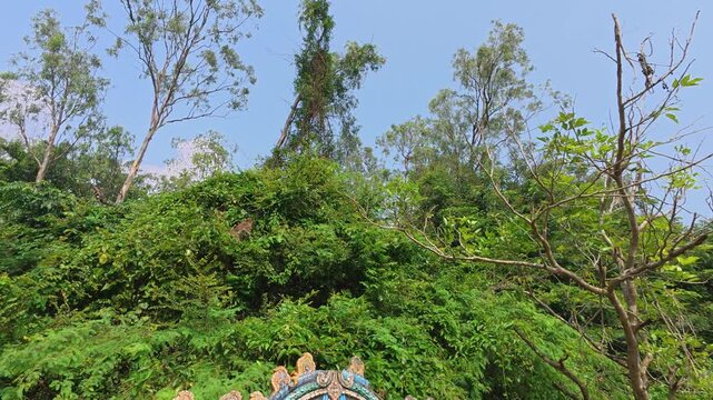 Famous kali temple in india, Famous temples in india - Chengalpattu Kaali temple, Kovilathangal, Sri Koilpuram, Chengalpattu to thiruporur road, Chengalpattu or Chengalpat, Kanchipuram, Tamil Nadu.
