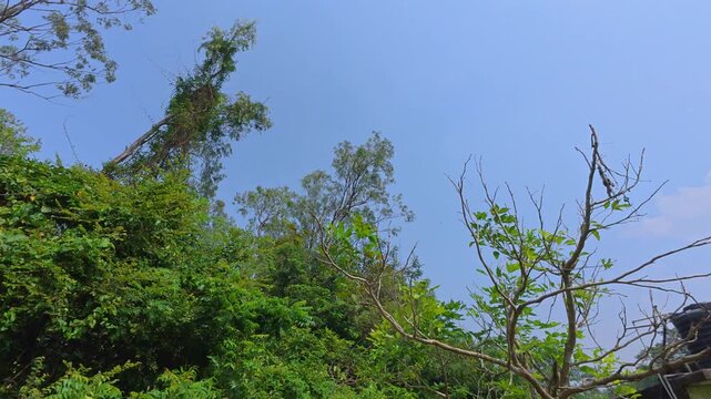 Famous kali temple in india, Famous temples in india - Chengalpattu Kaali temple, Kovilathangal, Sri Koilpuram, Chengalpattu to thiruporur road, Chengalpattu or Chengalpat, Kanchipuram, Tamil Nadu