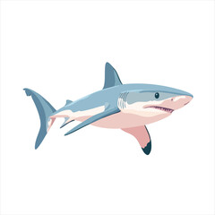 Ocean predator,  powerful shark
