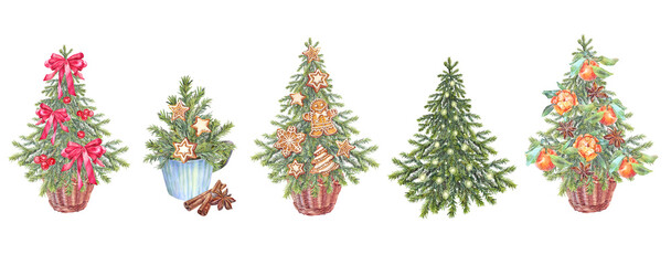 Watercolor set with Christmas tree with berry and gingerbread man and orange fruit isolated on white background. Forest evergreen fir or pine. Hand-drawn clipart for New Year wrapping or wallpaper