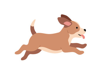 Happy Dog Running Freely