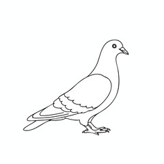 Simple Line Art Dove Illustration