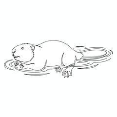 Simple Line Drawing of a Rodent Swimming