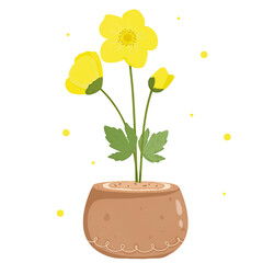 yellow flower in pot