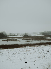 Frozen winter lake surrounded by snow-covered fields and distant bare trees under a muted turquoise sky — calm, atmospheric and minimalistic cold-season rural landscape