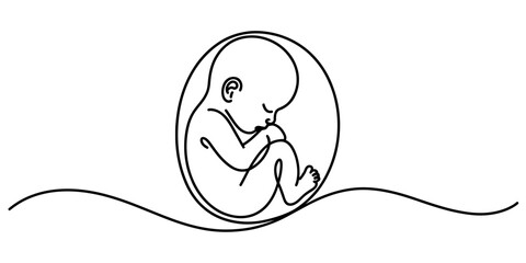 Minimalist continuous line art illustration of a human fetus inside the womb, representing prenatal development, new life, pregnancy. Vector, illustration