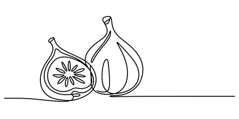 Continuous line drawing of two figs, one whole and one sliced, showcasing minimalist fruit art perfect for healthy eating concepts and natural designs. Vector, illustration