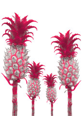 red pineapple on white background