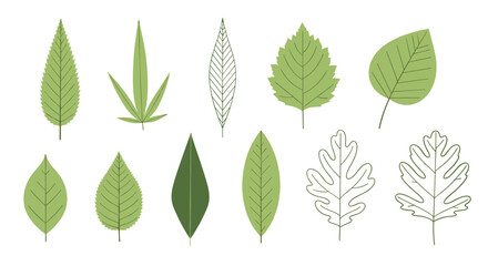 Fototapeta premium Collection of various types of green leaves, including different shapes and styles like flat color and simple line art.
