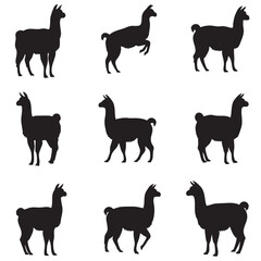 Obraz premium Collection of nine black llama silhouette icons isolated on white background