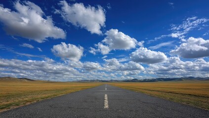 A long, straight, asphalt road leads through a vast, golden grassland under a sky