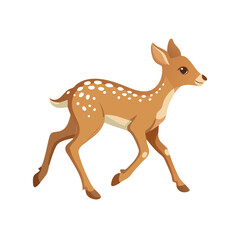 Fototapeta premium Spotted deer's walking cycle for animation. Steps of deer cub.