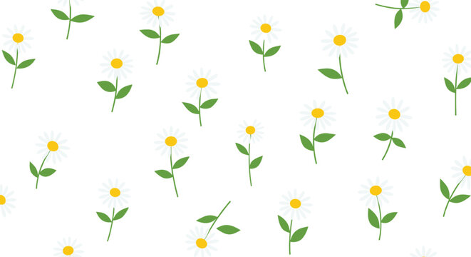 A fresh and simple seamless pattern of scattered white daisy flowers with green stems and leaves on a clean white background.