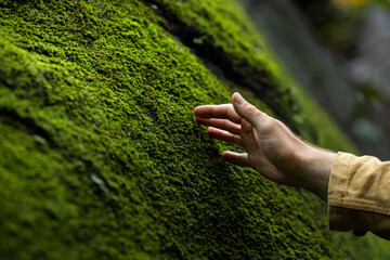 Hand touching nature to connect with the environment