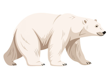 Fototapeta premium White Bear Illustration on White Background