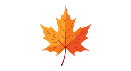 Fototapeta premium A vibrant orange maple leaf with detailed veins is depicted in a clean cartoon vector style isolated on a white background.