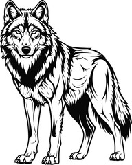 Standing Wolf Line Art Illustration – Isolated on Transparent Background Detailed Wild Wolf Vector Drawing