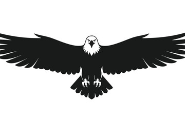 Fototapeta premium Silhouette of an Eagle in Flight