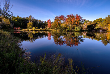 Obraz premium fall colors in Boise