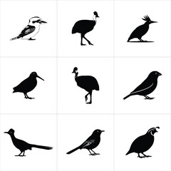 Set of diverse bird species in silhouette form isolated on white background