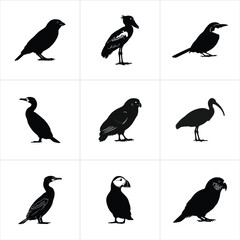 Fototapeta premium Collection of various bird silhouettes isolated on white background