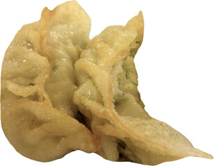 Japanese or chinese food gyoza dumplings chinese food gyoza dumpling, fried gyoza isolated on white background 