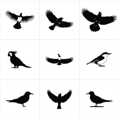 Collection of various bird silhouettes flying and perched, isolated on white background